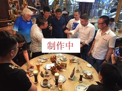 上不了佐伊